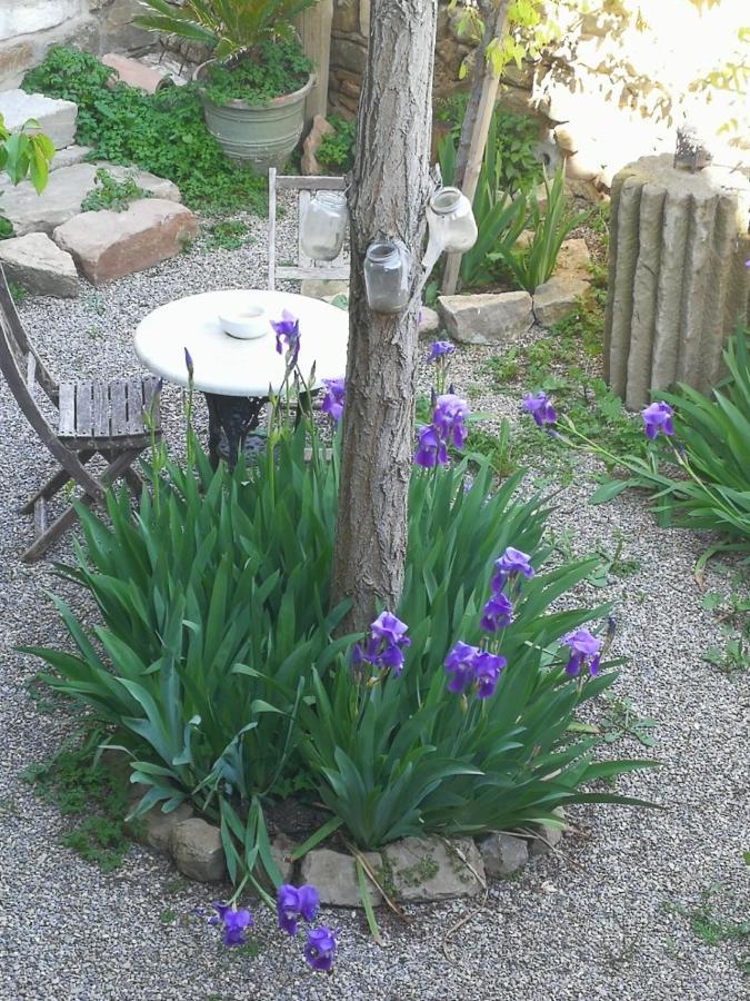 Granollers de Florejacs La Casa Dels Ocells (Adults Only) Bed & Breakfast エクステリア 写真