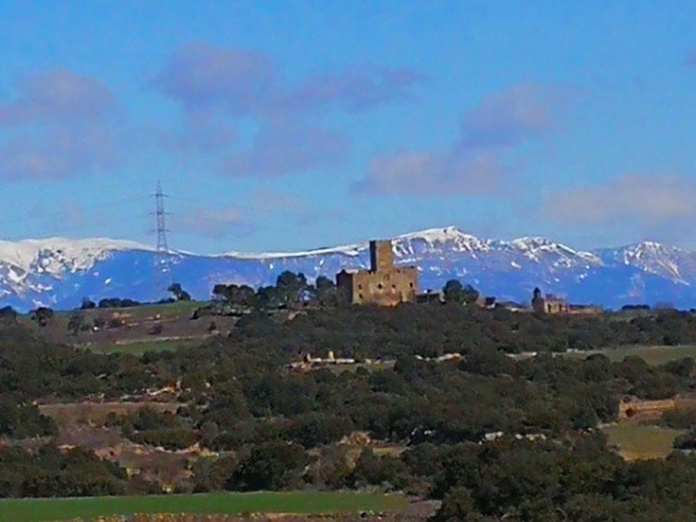 Granollers de Florejacs La Casa Dels Ocells (Adults Only) Bed & Breakfast エクステリア 写真